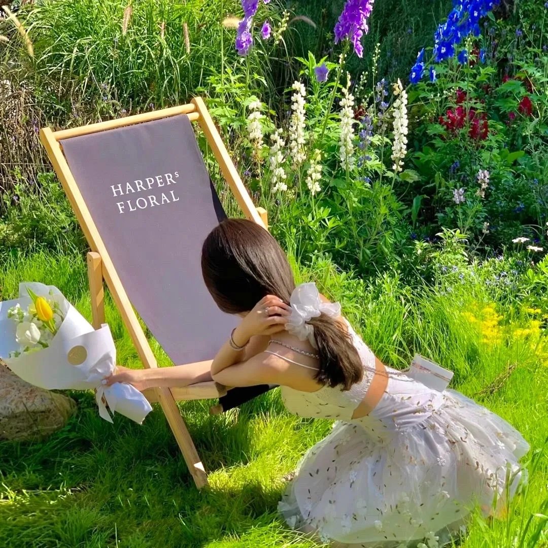 惑星公主蜥蜴骑士